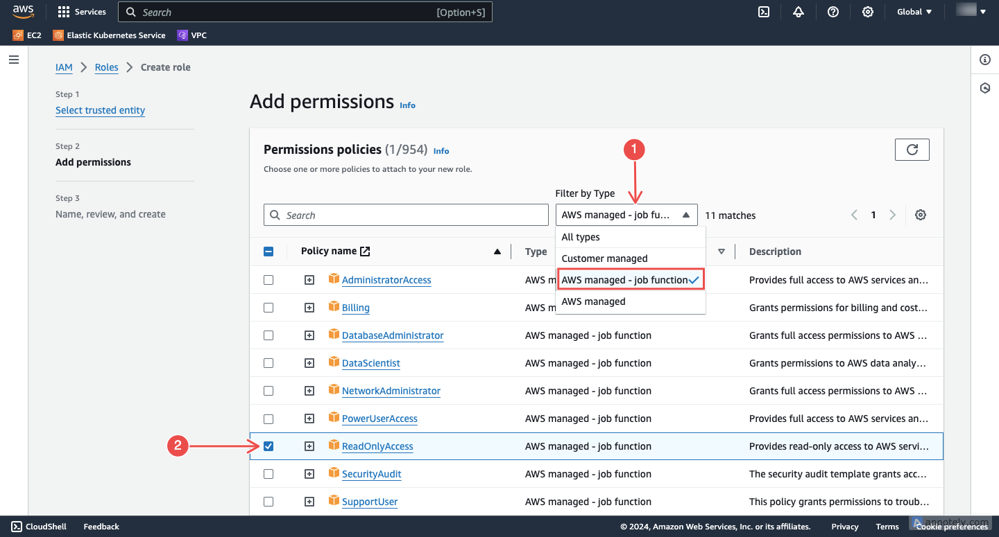 Assign ReadOnlyAccess