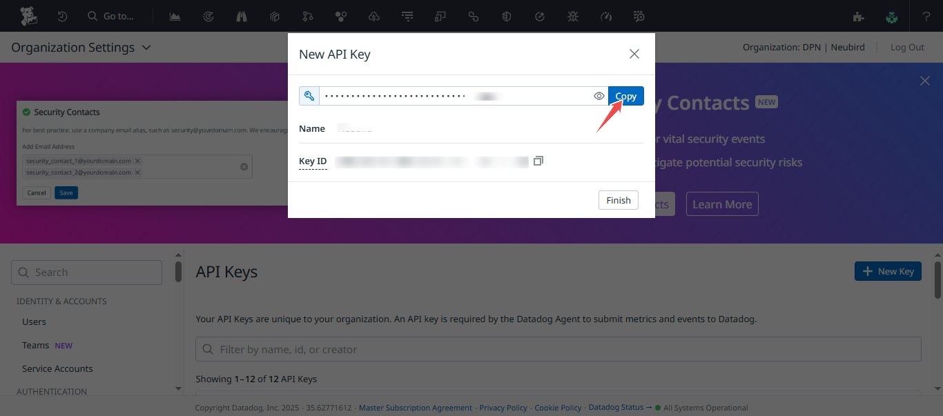 Copy API key