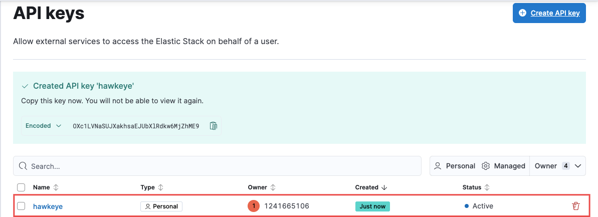 Generated API key displayed with copy option