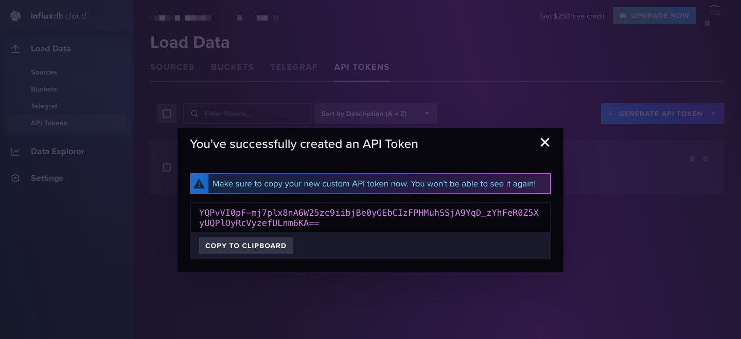 Copy API token