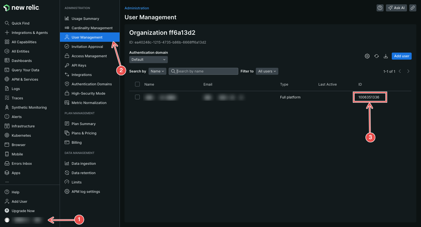 Retrieve Account ID from New Relic settings
