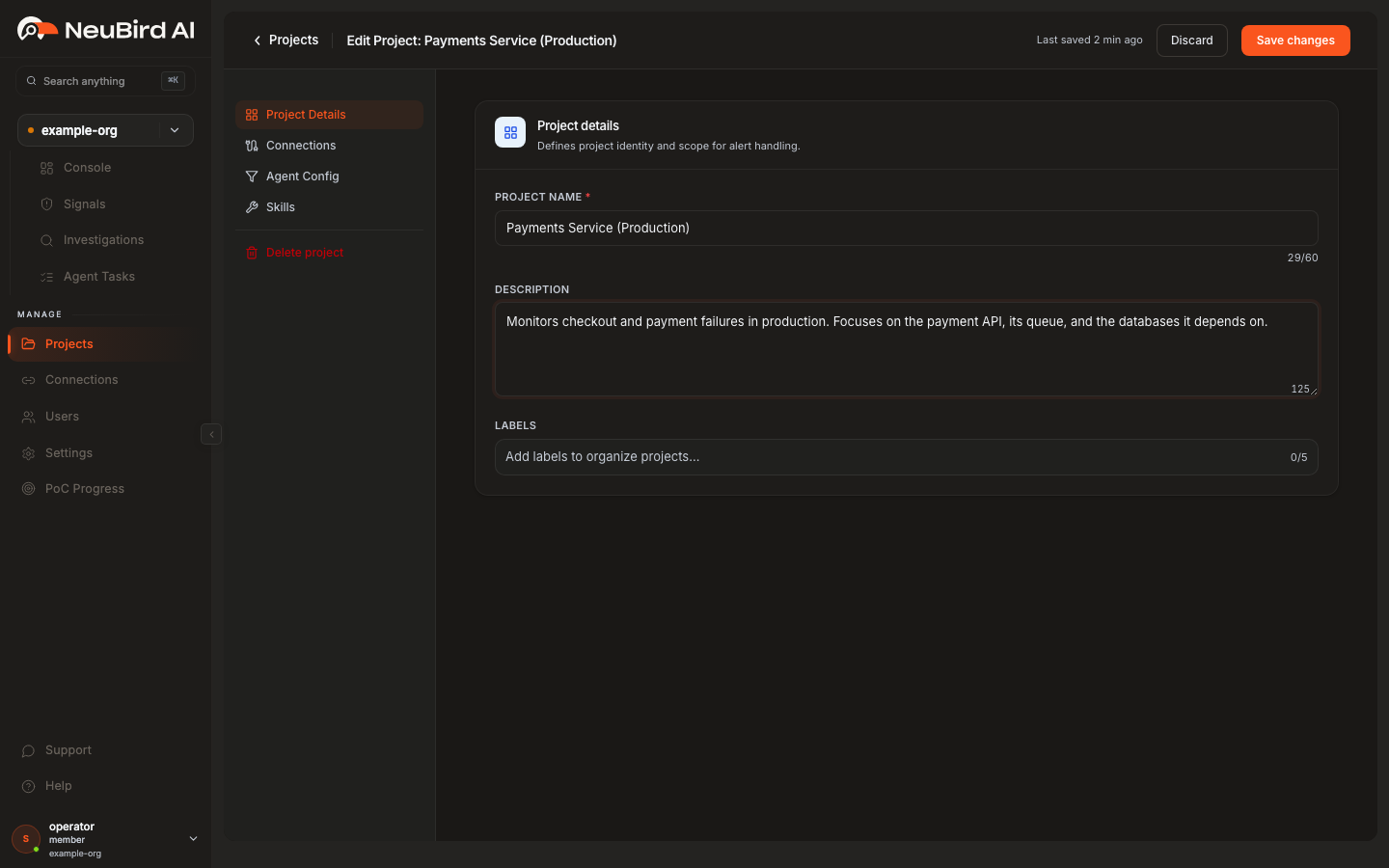 The project editor, showing the Project Details area with the Project Details, Connections, Agent Config, and Skills navigation