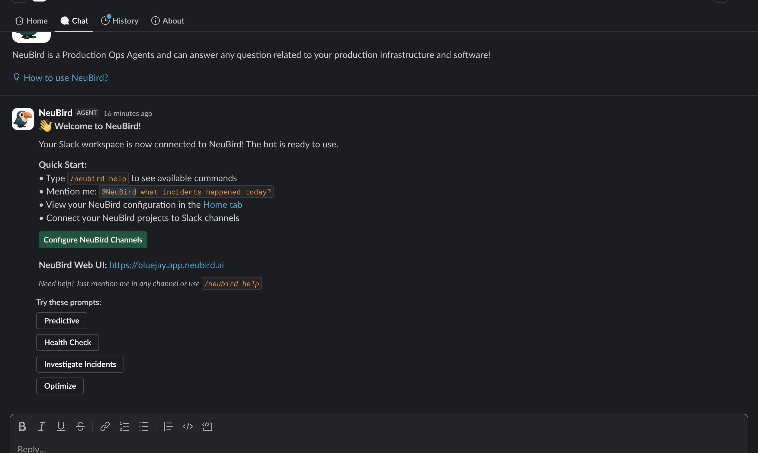 NeuBird welcome direct message after connecting
