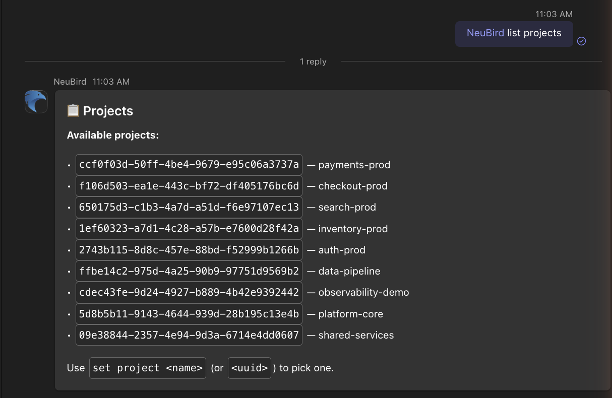 List of projects returned by NeuBird in Teams